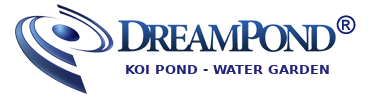 DreamPond