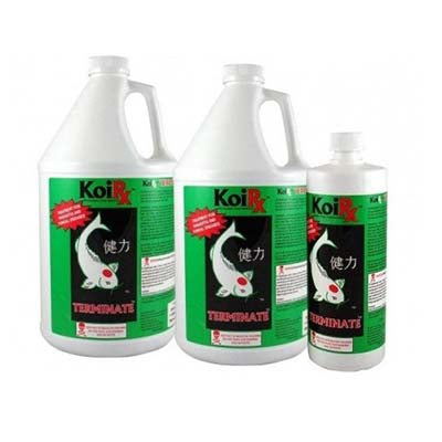 Aqua Meds Terminate 1 Gallon